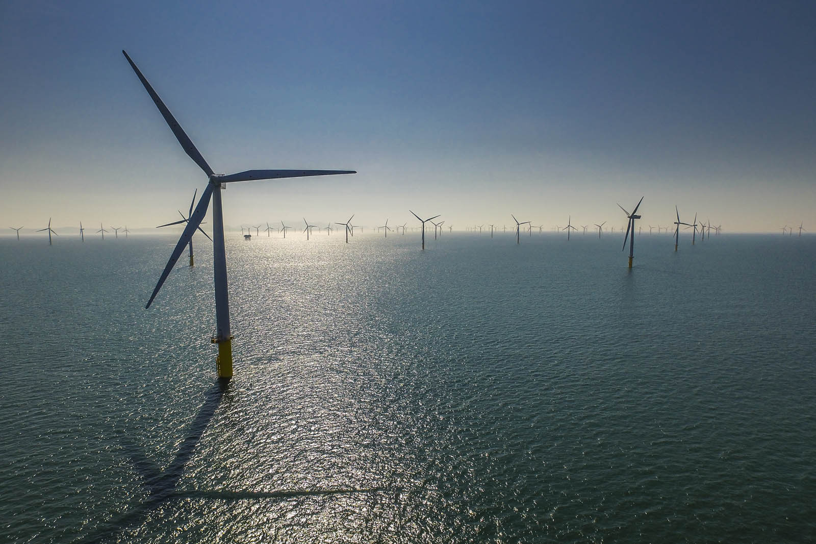 A vast offshore wind farm featuring numerous tall wind turbines on calm water, illuminated by a clear sky with a subtle mist.